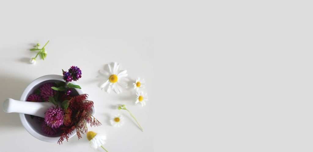 banner-04-1024x499.jpg
