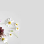 banner-04-150x150.jpg